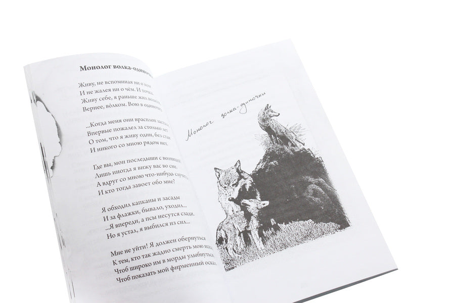 Lines from the ashes / Строки из пепла Алексей Курилко 978-617-7583-56-0-6