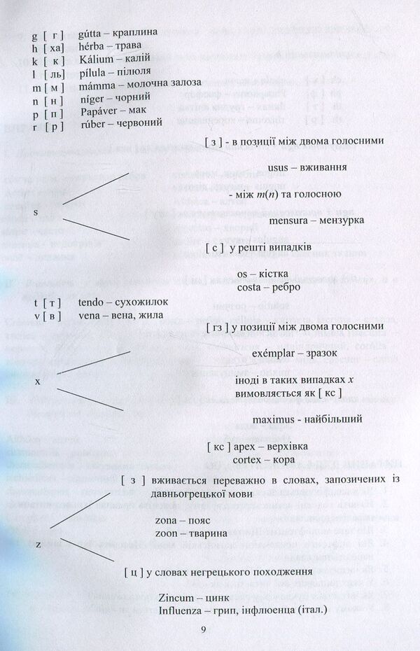 Lingua Latina. Tutorial / Lingua Latina. Навчальний посібник О. Савенкова 978-617-7320-33-2-6