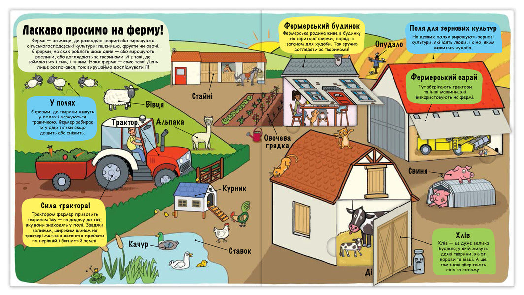 Little explorers.Farm / Маленькі дослідники. Ферма 978-617-7563-68-5-4