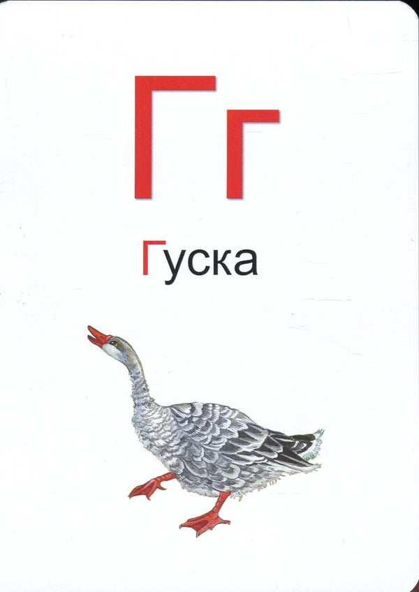 Living Alphabet Learning Cards For Learning The Ukrainian Language With Augmented Reality And 4D Sound / Навчальні картки Жива Абетка для вивчення української мови з доповненою реальністю та звуком 4D / Author not specified 9786178237486-6