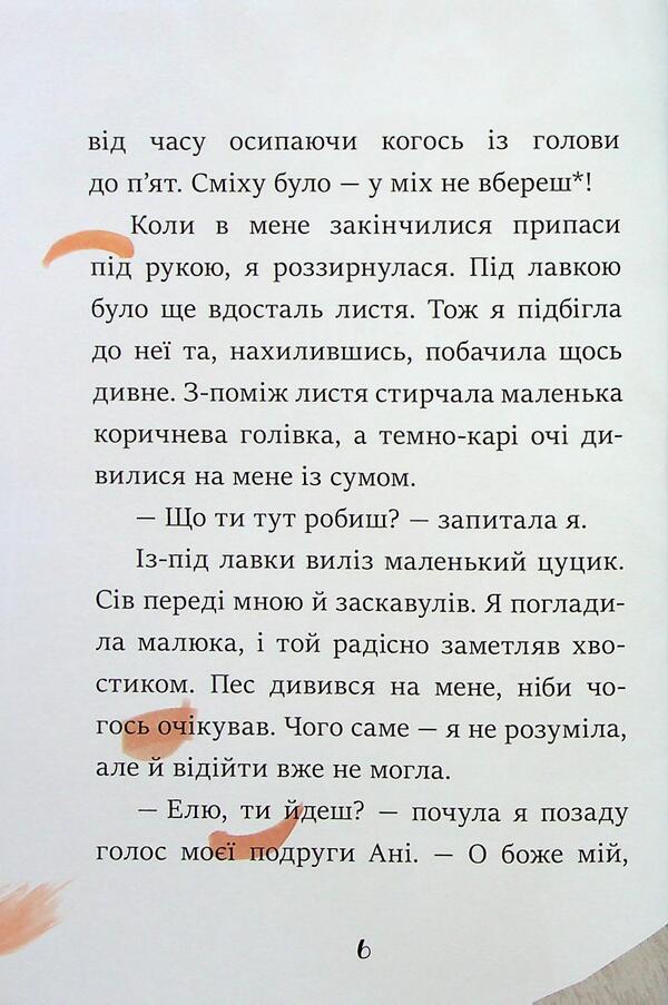 Look with a nut / Клопіт із Горішком Аниэла Холевинська-Школик 978-617-09-9405-9-6