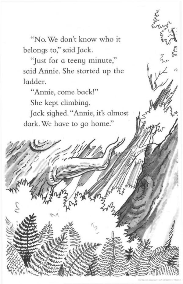 Magic Tree House 1. Valley Of The Dinosaurs Mary Osbourne / Мэри Осборн 9781862305236-6