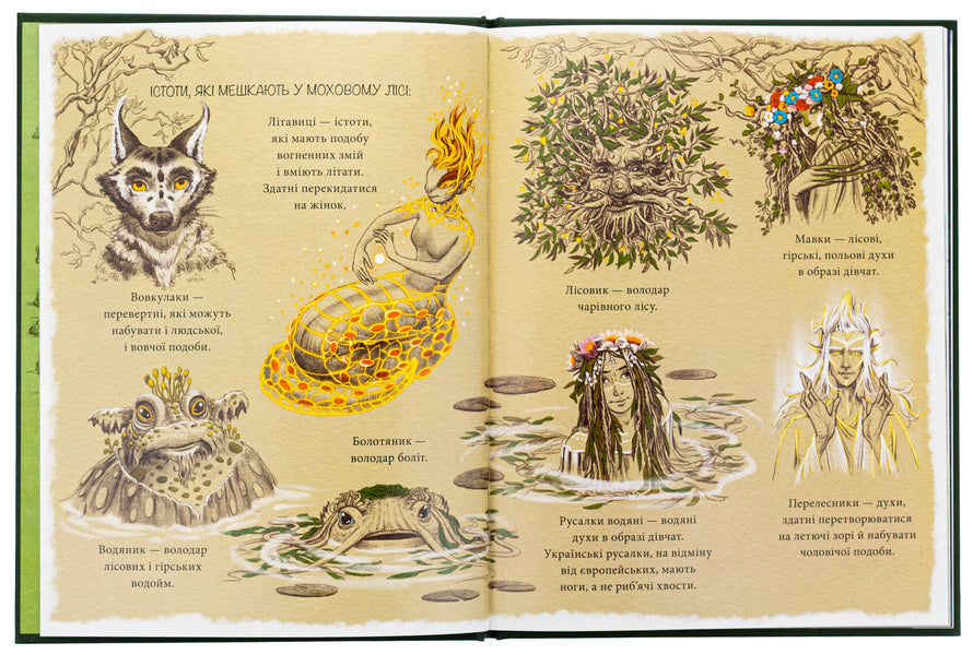 Mavka Verbychka and dog heads / Мавка Вербичка й песиголовці Юлита Ран 978-617-09-9038-9-6