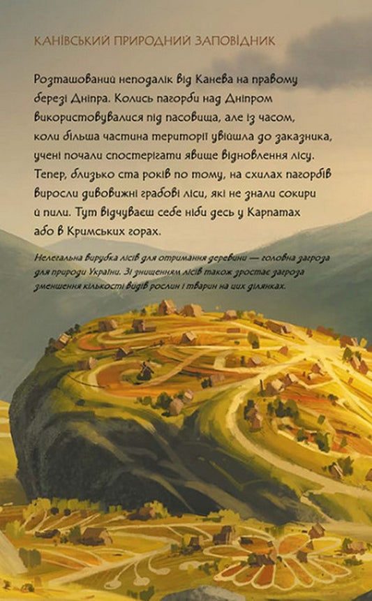 Mavka's diary.Summer / Щоденник Мавки. Літо 9789667510770-2