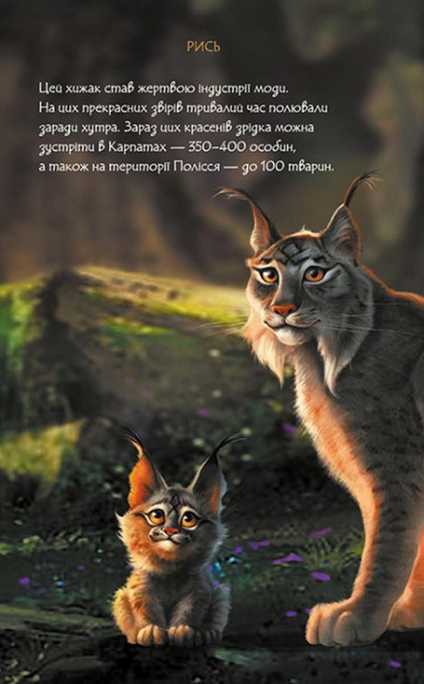 Mavka's diary.Summer / Щоденник Мавки. Літо 9789667510770-6