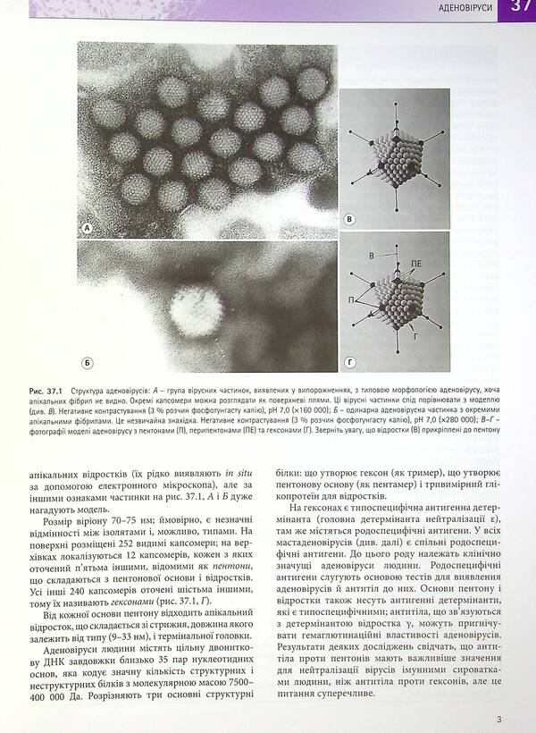 Medical microbiology. Handbook of microbial infections: pathogenesis, immunity, laboratory diagnosis and control. In 2 volumes. Volume 2 / Медична мікробіологія. Посібник з мікробних інфекцій: патогенез, імунітет, лабораторна діагностика та контроль. У 2-х томах. Том 2 978-617-505-806-0-6