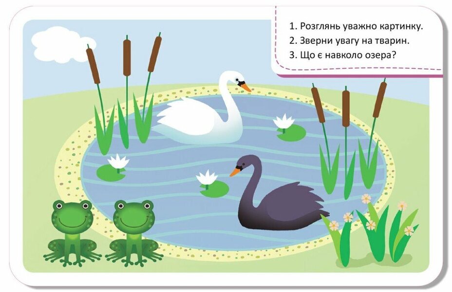 Memory game. The world around / Гра-запам’ятайка. Світ довкола 978-9-66-750891-3-6