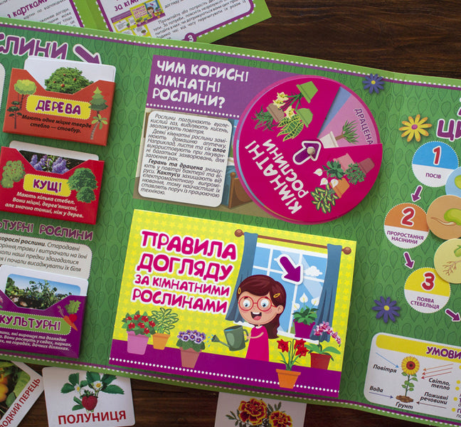 Mini-lapbook. Plants / Міні-лепбук. Рослини -6