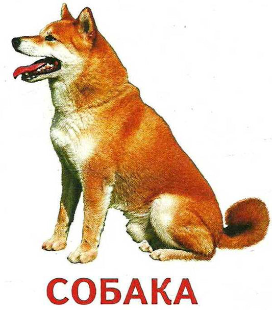 Mini Cards. Domestic Animals / Картки міні. Свійські тварини / Author not specified 9789666792948-2