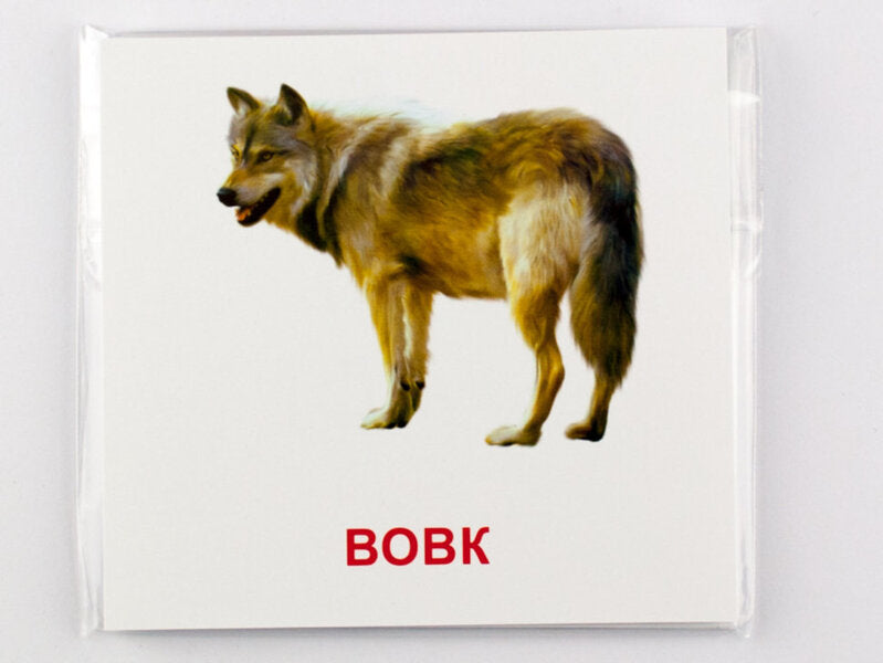 Mini Cards. Forest Residents / Картки міні. Лісові мешканці / Author not specified 4826176340049-5