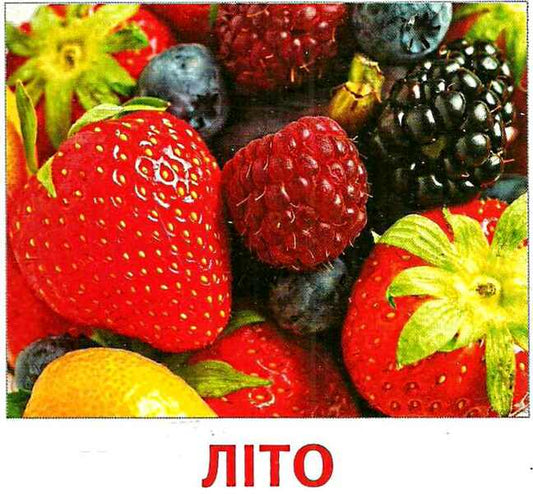 Mini cards. Season / Картки міні. Пори року 9789666791224-2