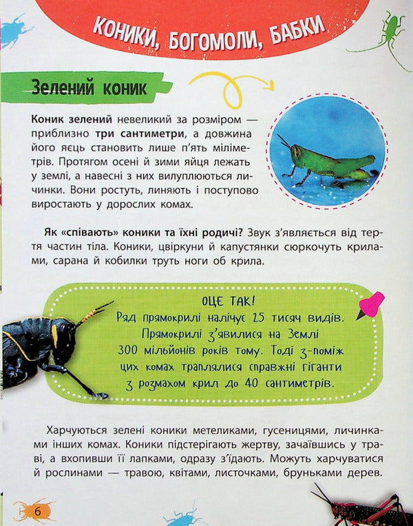 Mini encyclopedia.Insects and spiders / Мініенциклопедія. Комахи та павуки 978-966-982-723-4-6