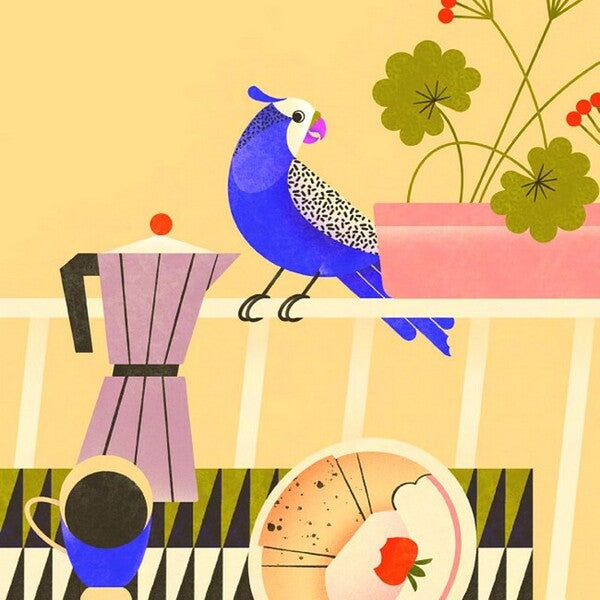 Ms. Oksana's shell, paws and wings / Панцир, лапи й крила пані Оксани Валентина Захабура 978-617-522-268-3-6