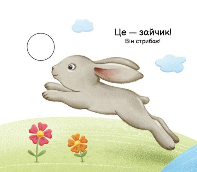 My Folding Book. Who Can Do What? / Моя книжка-розкладайка. Хто що вміє? Nadezhda Myroshnychenko / Надія Мірошниченко 9789667616144-6