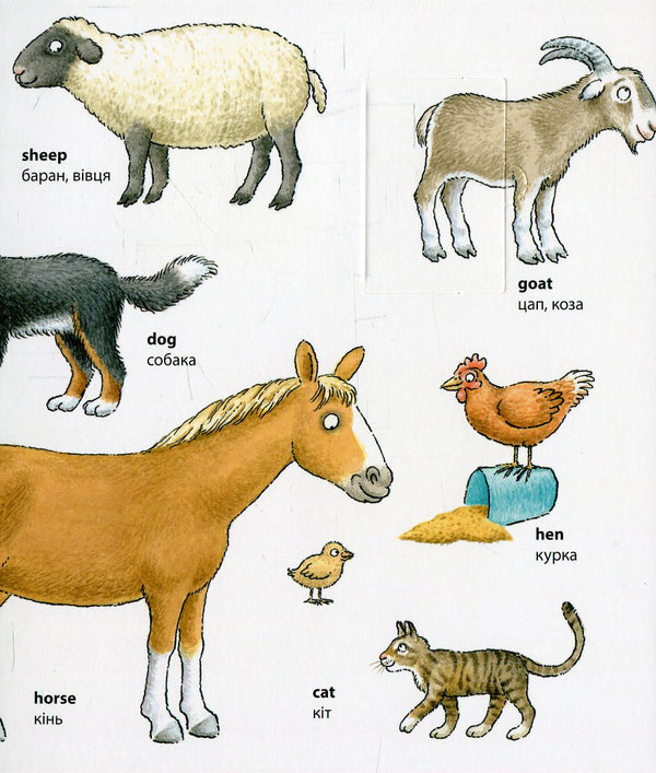 My first English words. Animals / Animals / My first English words. Animals / Тварини 978-617-7198-27-6-4