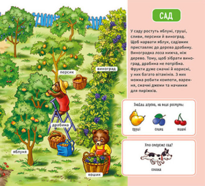 My first dictionary.On the farm / Мій перший словничок. На фермі 9789667510732-5