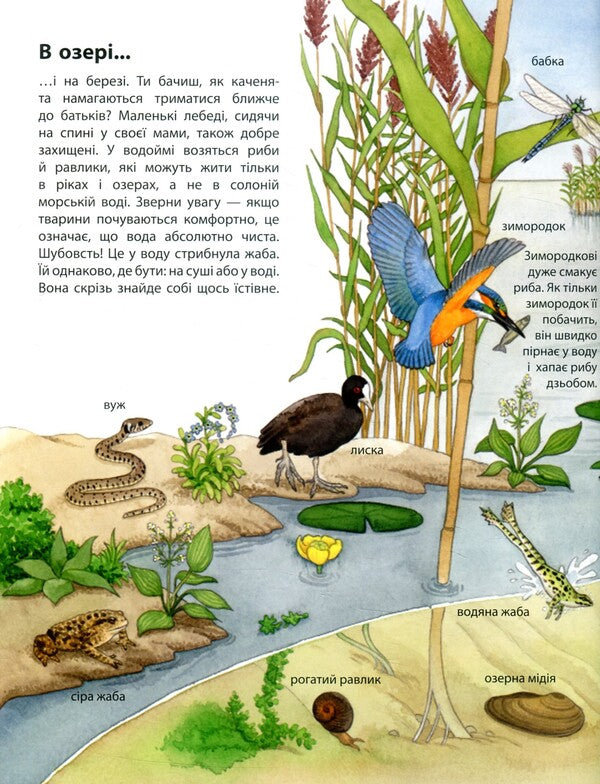 My first illustrated encyclopedia.Animals / Моя перша мальована енциклопедія. Тварини Сюзанне Генхойзер 978-617-09-3425-3-6