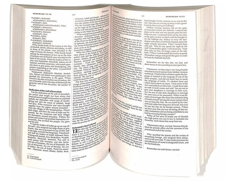 NIV Holy Bible. Anglicised Black Gift And Award New International Version / New International Version 9781444701593-4