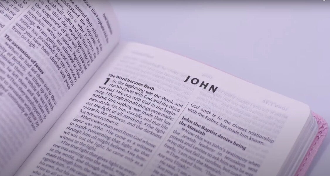 NIV Pocket Pastel Pink Soft-Tone Bible New International Version / New International Version 9781444701814-5