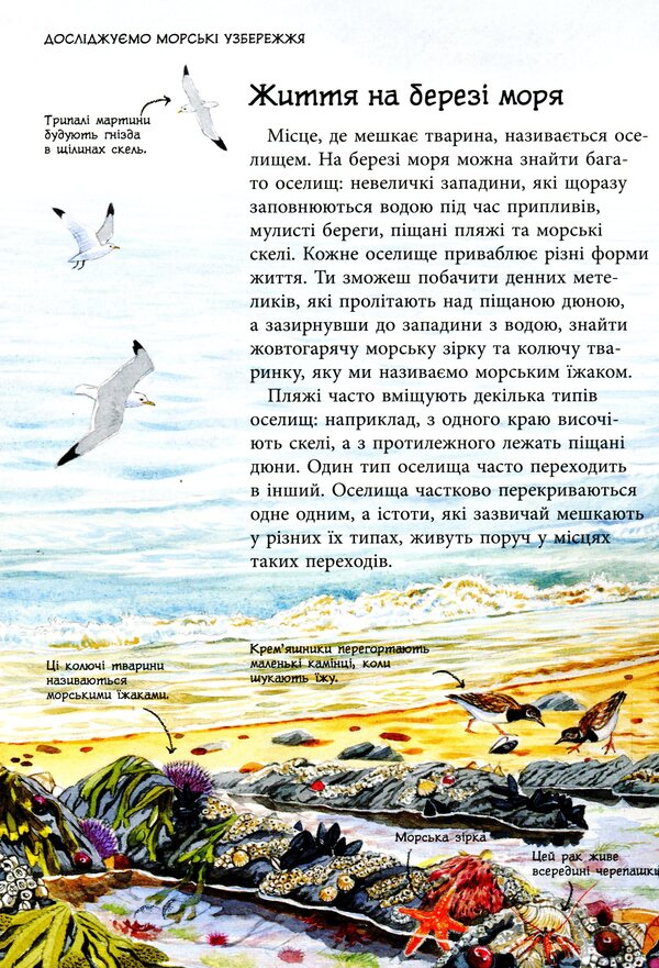 Nature trails. Ocean and sea coasts / Стежками природи. Океанічні й морські узбережжя Сара Кортолд, Конрад Мейсон 9786170956408-6