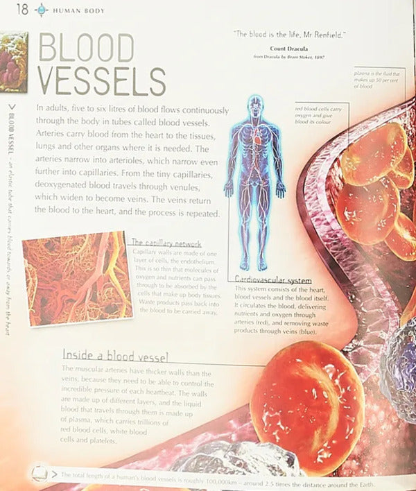 Navigators. Human Body / Navigators. Human Body Миранда Смит 9780753439890-6