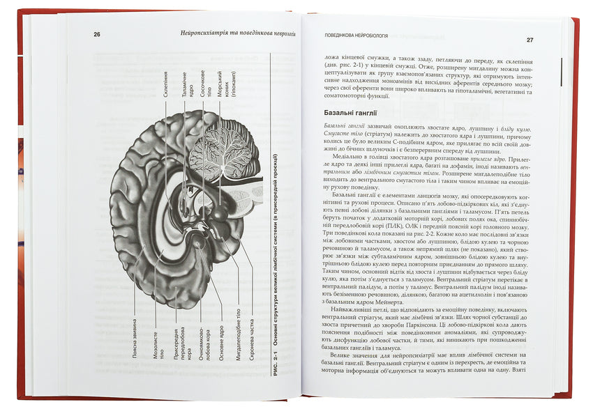 Neuropsychiatry and behavioral neurology / Нейропсихіатрія та поведінкова неврологія Джон Барри, Майкл Р. Тримбл 978-617-505-968-5-6