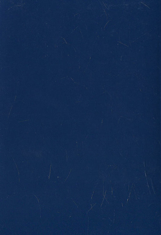 New Testament / Новий Завіт 978-966-395-739-5-2