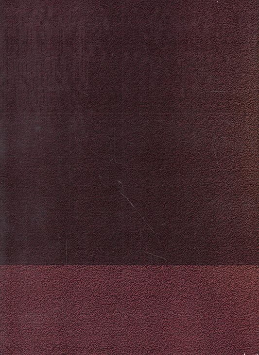 Observance of the rights of participants in criminal proceedings during the investigation / Дотримання прав учасників кримінального провадження під час проведення освідування Владимир Галаган, Жанна Удовенко, О. Калачова, С. Клочуряк 978-611-01-0719-8-2