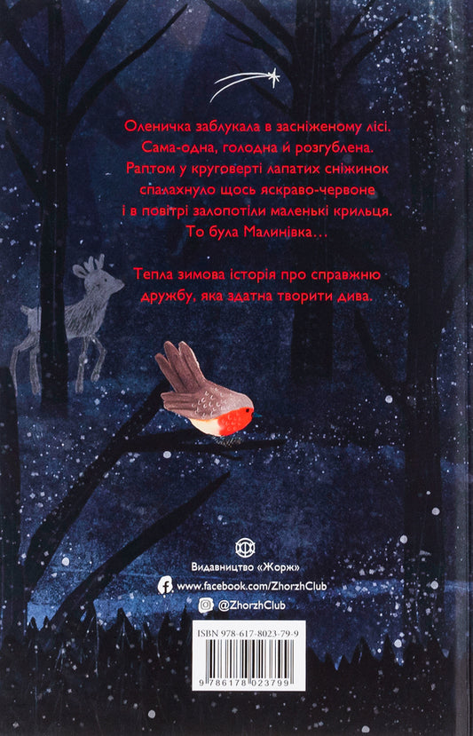 Olenychka and Malynyvka / Оленичка і Малинівка Роза Бэйли 9786178023799-2