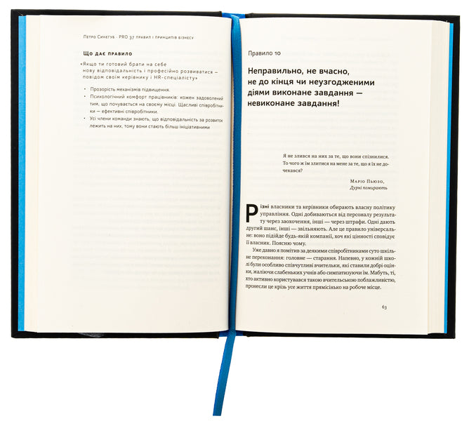 PRO 37 business rules and principles / PRO 37 правил і принципів бізнесу Петр Синегуб 978-617-8277-58-1-6