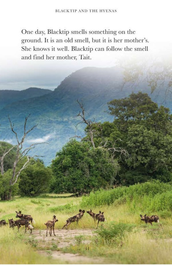 Penguin Readers Level 1 Dynasties. Wolves (ELT Graded Reader) / Penguin Readers Level 1. Dynasties. Wolves (ELT Graded Reader) Стивен Мосс 9780241520635-3