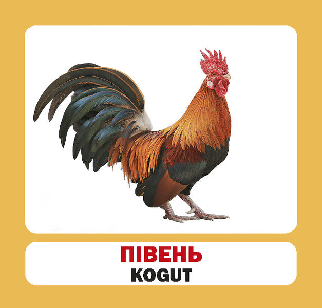 Pets / Zwierzęta Domowe. Set Of Cards / Домашні тварини / Zwierzęta domowe. Набір карток / Author not specified 9786177686018-4