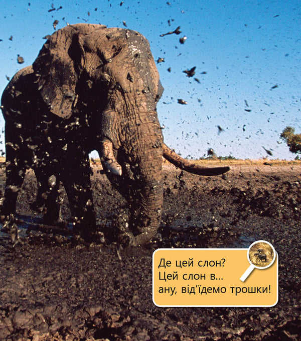 Pets and not only. Level 5 / Домашні улюбленці і не тільки. Рівень 5 Роб Олкрафт 978-617-09-4034-6-5