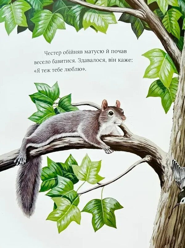 Pocket, Full Of Kisses / Кишенька, повна поцілунків Penn / Одрі Пенн 9786179538636-6