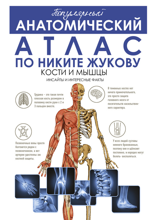 Popular Anatomical Atlas According To Nikita Zhukov: Bones And Muscles Insights And Interesting Facts - Популярный анатомический атлас по Никите Жукову: кости и мышцы Инсайты и интересные факты Zhukov Nikita - Жуков Никита Does not apply-1