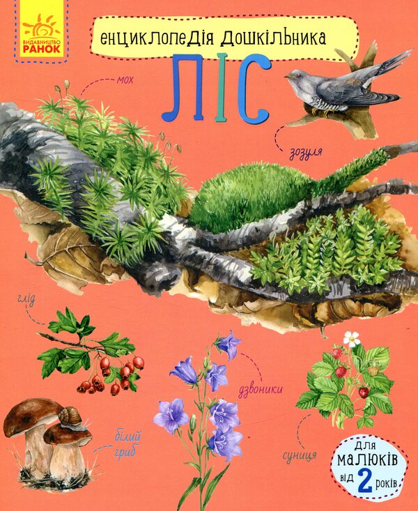 Preschool encyclopedias (a set of 10 books) / Енциклопедії дошкільника (комплект із 10 книг) Юлия Каспарова, Наталия Популях 978-617-09-5648-4, 978-617-09-5066-6, 978-617-09-4199-2, 978-617-09-3729-2, 978-617-09-3617-2, 978-617-09-3619-6, 978-617-09-2834-4, 978-617-09-2835-1, 978-617-09-2831-3, 978-617-09-2997-6-6