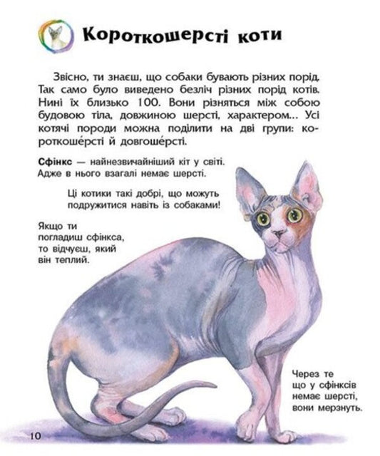 Preschooler encyclopedia. Cats / Енциклопедія дошкільника. Коти Юлия Каспарова 978-617-09-9274-1-2