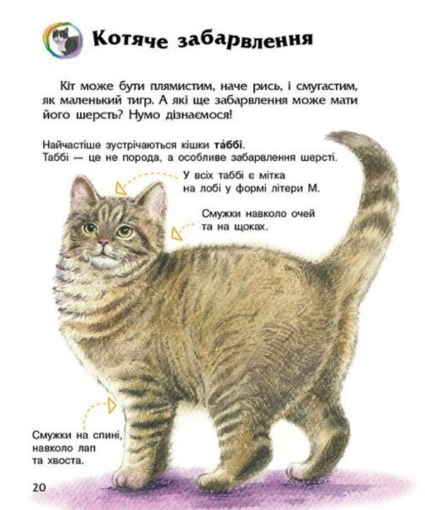 Preschooler encyclopedia. Cats / Енциклопедія дошкільника. Коти Юлия Каспарова 978-617-09-9274-1-6