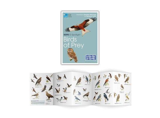 RSPB ID Spotlight. British Birds of Prey / RSPB ID Spotlight. British Birds of Prey Марианна Тейлор 9781472974259-2
