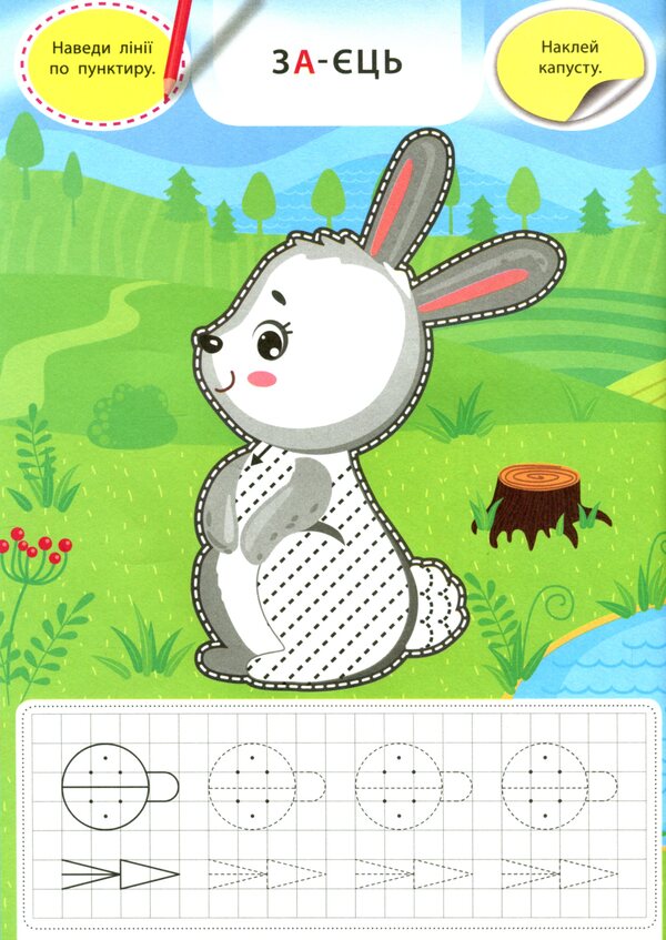 Raccoon and his friends (+ stickers) / Єнот і його друзі (+ наліпки) Светлана Силич 978-617-544-005-6-6