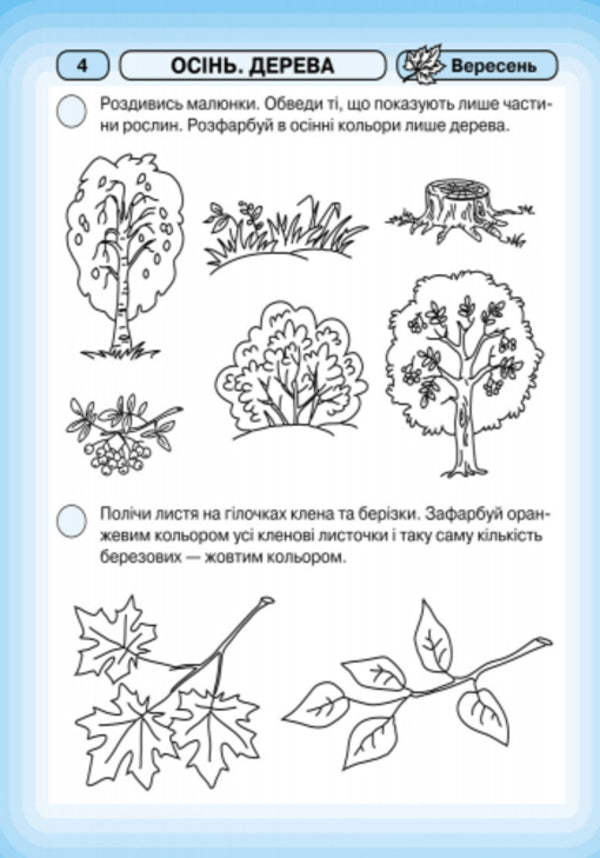 Rays Of Knowledge. Integrated Classes. Workbook 4+ - Промнчики знань. нтегрован заняття. Робочий зошит 4+ Lyudmila Dyb, Valentina Novikova - Людмила Дб, Валентина Новкова 9786175405888-6