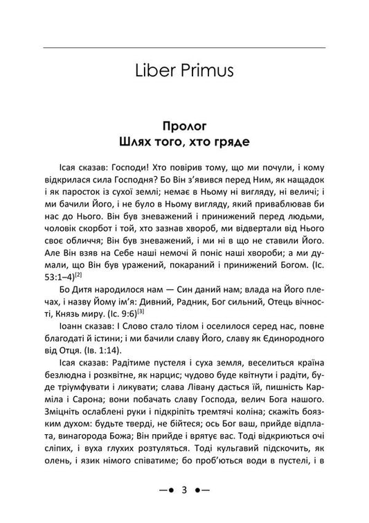 Red Book Liber Novus - Червона книга Liber Novus Carl Gustav Jung - Карл Густав Юнг 9786178919313-2