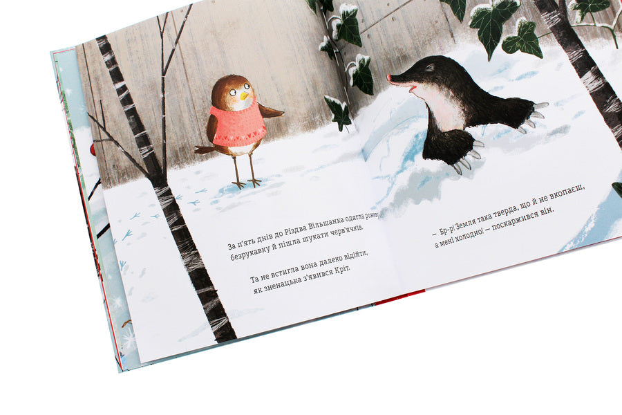 Red clothes for a little bird / Червона одежина для маленької пташини Джен Фернли 978-617-95026-9-9-6