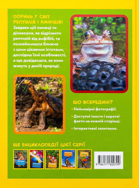 Reptiles And Amphibians. My First Encyclopedia - Рептил та амфб. Моя перша енциклопедя Ketrin Hughes - Кетрн Хьюз 9786171600799-2