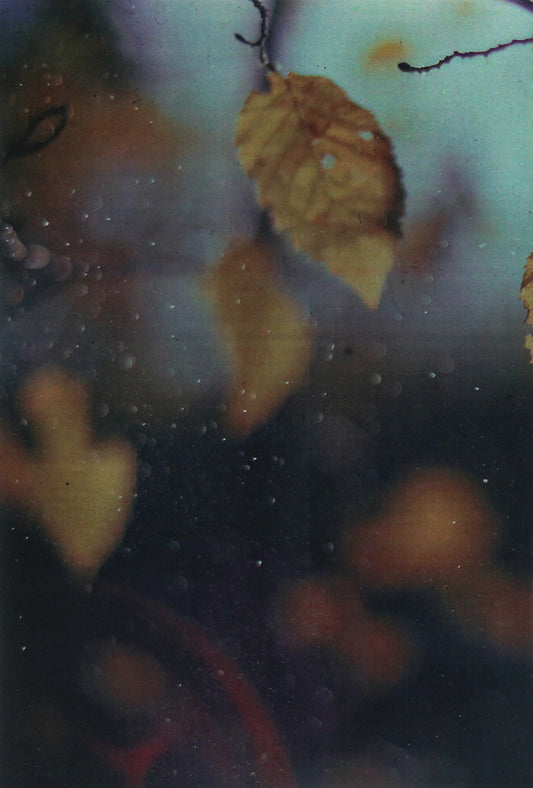 Restless autumn. Novel / Неспокійна осінь. Роман Иван Смолий 978-611-01-2118-7-2