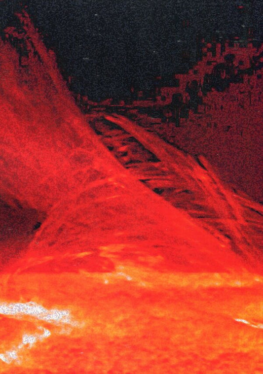 Roaring fire. Poetry / Жевріюча ватра. Поезії Владимир Мерещак 978-611-01-2206-1-2