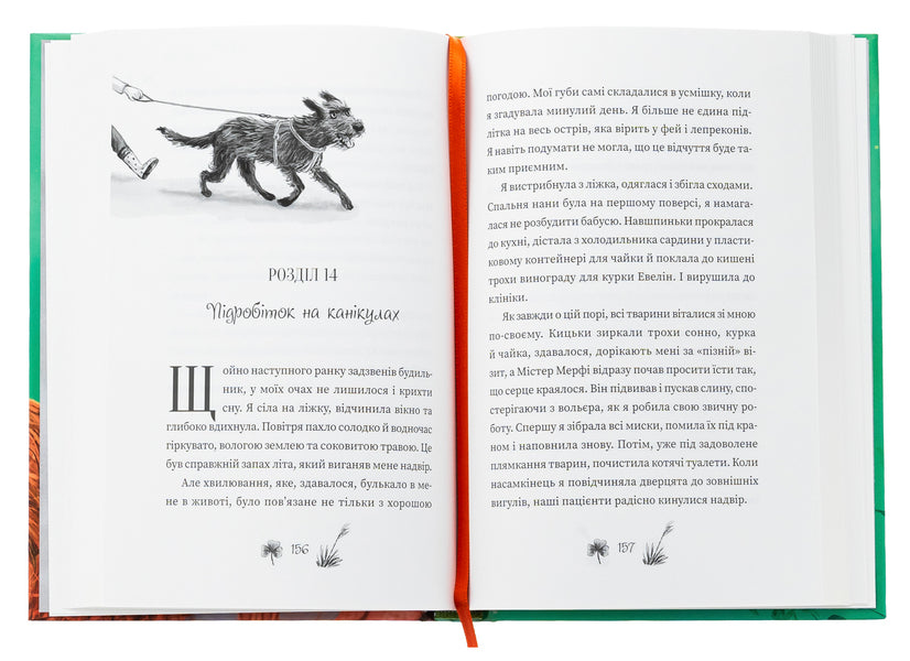 Ruby Ferigele. Book 1. The call of magical creatures / Рубі Феріґейл. Книга 1. Поклик магічних істот Кира Гембри 978-617-614-691-9-6