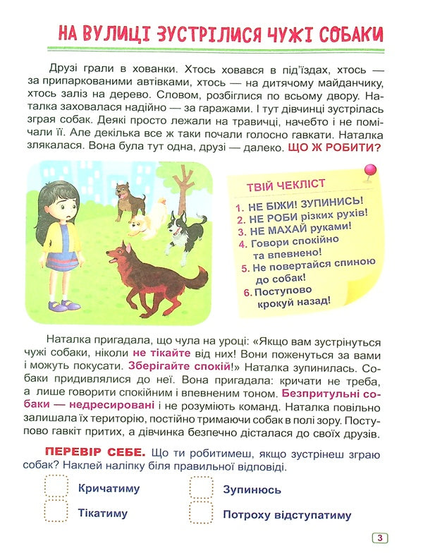 Safety on the street / Безпека на вулиці Александра Шипарева 978-617-524-050-2-6