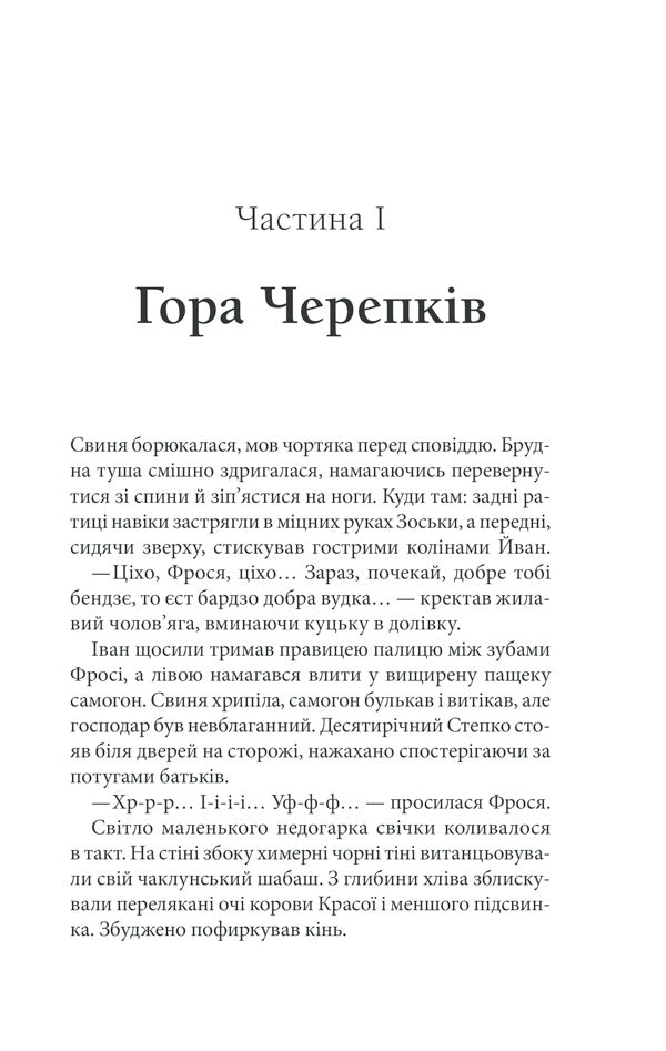 SchismaticChildren of Cain / Схизматик. Діти Каїна Татьяна Пахомова 978-617-12-8460-9-6