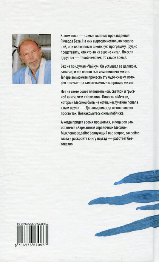 Seagull Jonathan Livingston. Illusions. Messiah's Pocket Guide / Чайка Джонатан Ливингстон. Иллюзии. Карманный справочник мессии Richard Bach / Ричард Бах 9786176570967-2